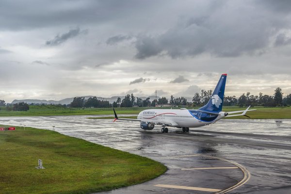 Ultimate Guide to Keeping Your Camping Food Secure from Wildlife in the UK