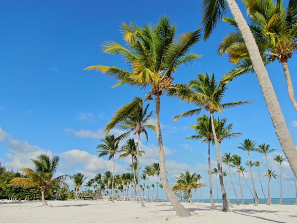 Discover the Most Immersive UK Cruises Exploring the Rich History of the English Civil War